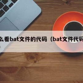 怎么看bat文件的代码（bat文件代码大全）