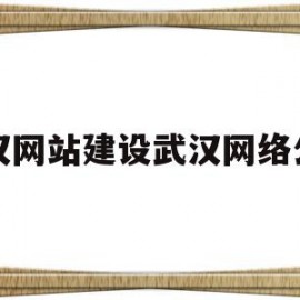 包含武汉网站建设武汉网络公司的词条