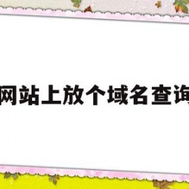 网站上放个域名查询(域名查询的网站)