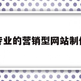 包含专业的营销型网站制作的词条