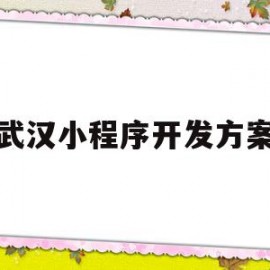 武汉小程序开发方案(武汉小程序开发公司怎么样)