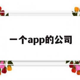 一个app的公司(一个公司的软件指的是什么意思)