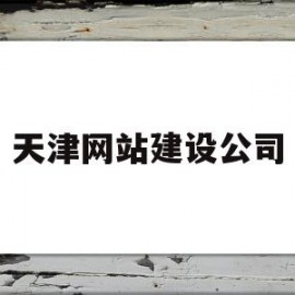 天津网站建设公司(天津网站建设服务商)