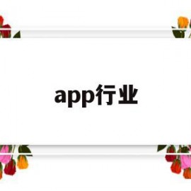 app行业(app行业分析)