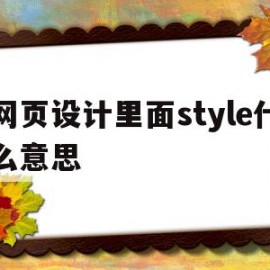 网页设计里面style什么意思(网页中style标记包含在什么标记中)