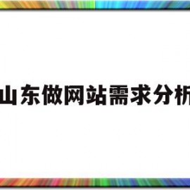 山东做网站需求分析(山东做网站需求分析的企业)