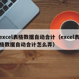 excel表格数据自动合计（excel表格数据自动合计怎么弄）