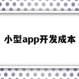 小型app开发成本(开发一款app的成本费用是多少)