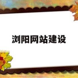 浏阳网站建设(浏阳网站建设招标公告)