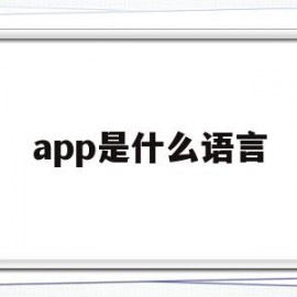 app是什么语言(app是什么意思中文翻译成为)