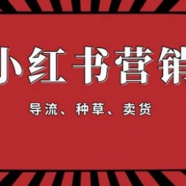 手把手教做小红书帐号，一篇笔记涨粉10000，月入十万的博主秘笈