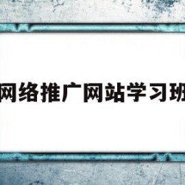 网络推广网站学习班(网络推广网站培训班)