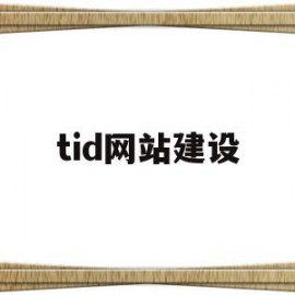 tid网站建设(网站建设在线建站)