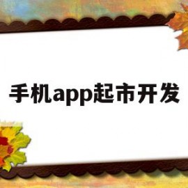 手机app起市开发(手机app开发平台哪个好)