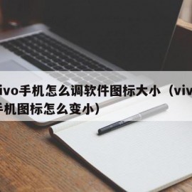 vivo手机怎么调软件图标大小（vivo手机图标怎么变小）