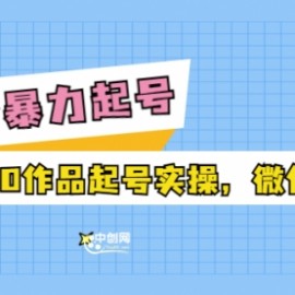 正价暴力起实操号：0粉丝0作品起号实操，微付费稳号（价值1980元）