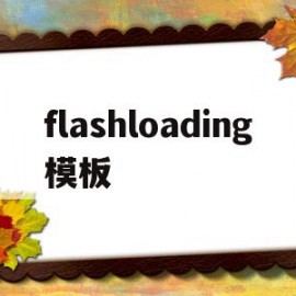 flashloading模板(flash loader demo)