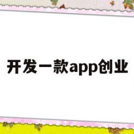 开发一款app创业(开发一款app赚钱吗)