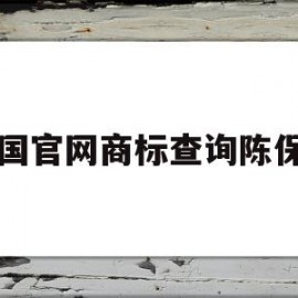 中国官网商标查询陈保中(陈保中教授)