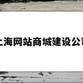 上海网站商城建设公司(上海网站建设技术支持)