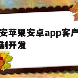 西安苹果安卓app客户端定制开发(西安ios招聘)