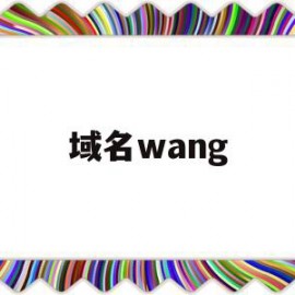 域名wang(域名网站名称怎样填)