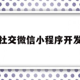 社交微信小程序开发(社交微信小程序开发流程)