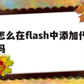 怎么在flash中添加代码(怎么在flash中添加代码格式)