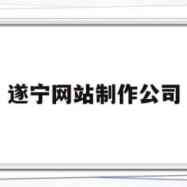 遂宁网站制作公司(遂宁网络科技有限公司)