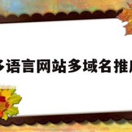 多语言网站多域名推广(多语言站点发布产品时,关键词最多可以填写1个)