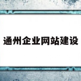 通州企业网站建设(做企业网站建设的公司)