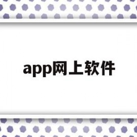 app网上软件(网上的软件)