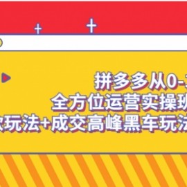 拼多多从0-1全方位运营实操班：爆款玩法+成交高峰黑车玩法（价值1280）