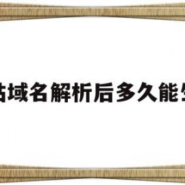 包含网站域名解析后多久能生效的词条