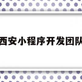 西安小程序开发团队(西安小程序开发团队名单)