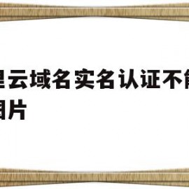 阿里云域名实名认证不能上传图片(阿里云个人实名认证不能注册域名吗)