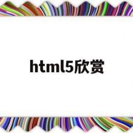 html5欣赏(html5section)