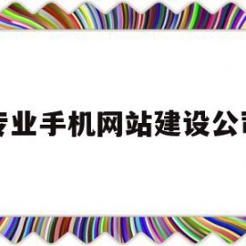 专业手机网站建设公司(专业手机网站建设公司招聘)