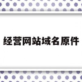 关于经营网站域名原件的信息