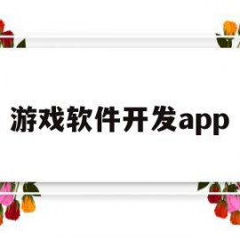 游戏软件开发app(网赌游戏软件开发app)