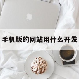 手机版的网站用什么开发(手机版的网站用什么开发语言)