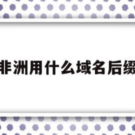 非洲用什么域名后缀(在非洲用什么导航软件)