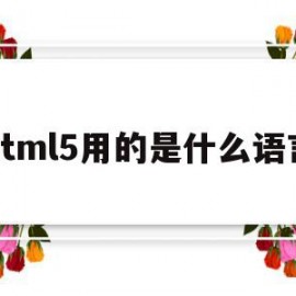 html5用的是什么语言的简单介绍