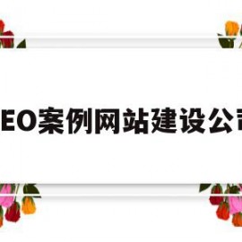 SEO案例网站建设公司(seo网站建设优化什么意思)