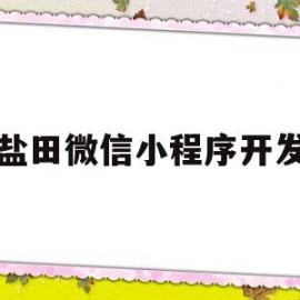 盐田微信小程序开发(i盐田公众号)