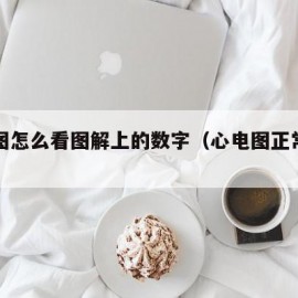 心电图怎么看图解上的数字（心电图正常图片）