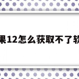 苹果12怎么获取不了软件(苹果12怎么获取不了软件信息)