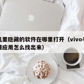 手机里隐藏的软件在哪里打开（vivo手机隐藏应用怎么找出来）