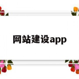 网站建设app(网站建设app开发)