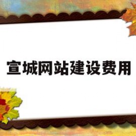 宣城网站建设费用(网站建设费计入什么科目)